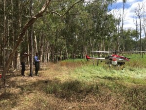 uav-weed-spraying2
